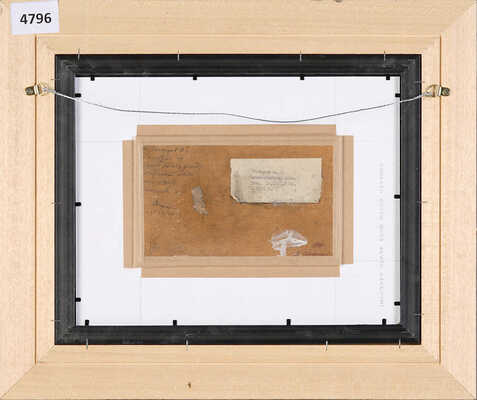 Стожаров Владимир Фёдорович. Академическая дача